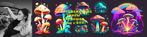 a pvp Бородино