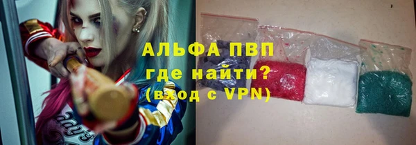 a pvp Бородино