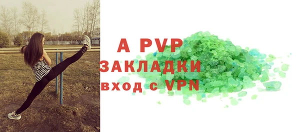 a pvp Бородино