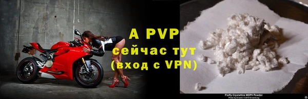 a pvp Бородино