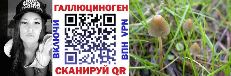 Купить закладки  Павловск  Галлюциногенные грибы мухоморы 
